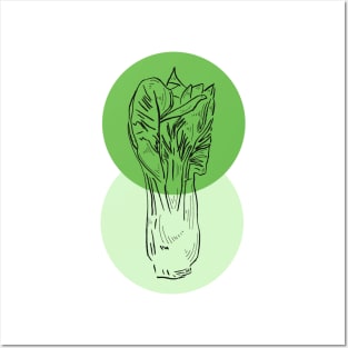 Bok Choy Posters and Art